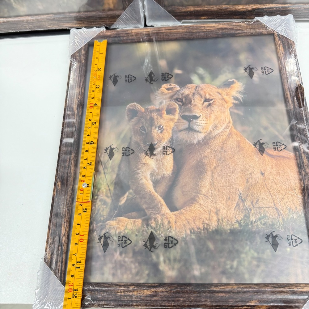 Set of 3 Lioness and‎ Cub Framed Art Prints Rustic Wood Grain 10x12 Safari Decor - Picture 6 of 8